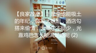 【良家故事】正是坐地能吸土的年纪，良家大姐姐，酒店勾搭来偷情，大黑牛不能少，光靠鸡巴怎么能满足她呢 (2)