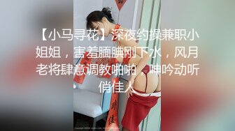 【小马寻花】深夜约操兼职小姐姐，害羞腼腆刚下水，风月老将肆意调教啪啪，呻吟动听俏佳人