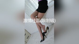 大屌哥與性慾強情婦自拍