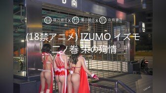 (18禁アニメ) IZUMO イズモ 二ノ巻 朱の殉情