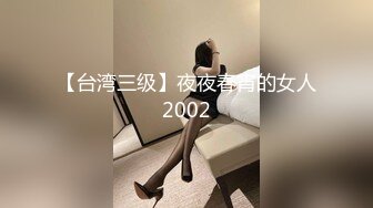 【台湾三级】夜夜春宵的女人2002