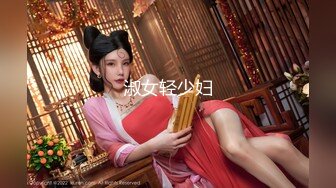 淑女轻少妇